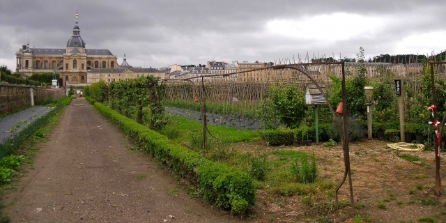 versailles-potager-du-roi-2010