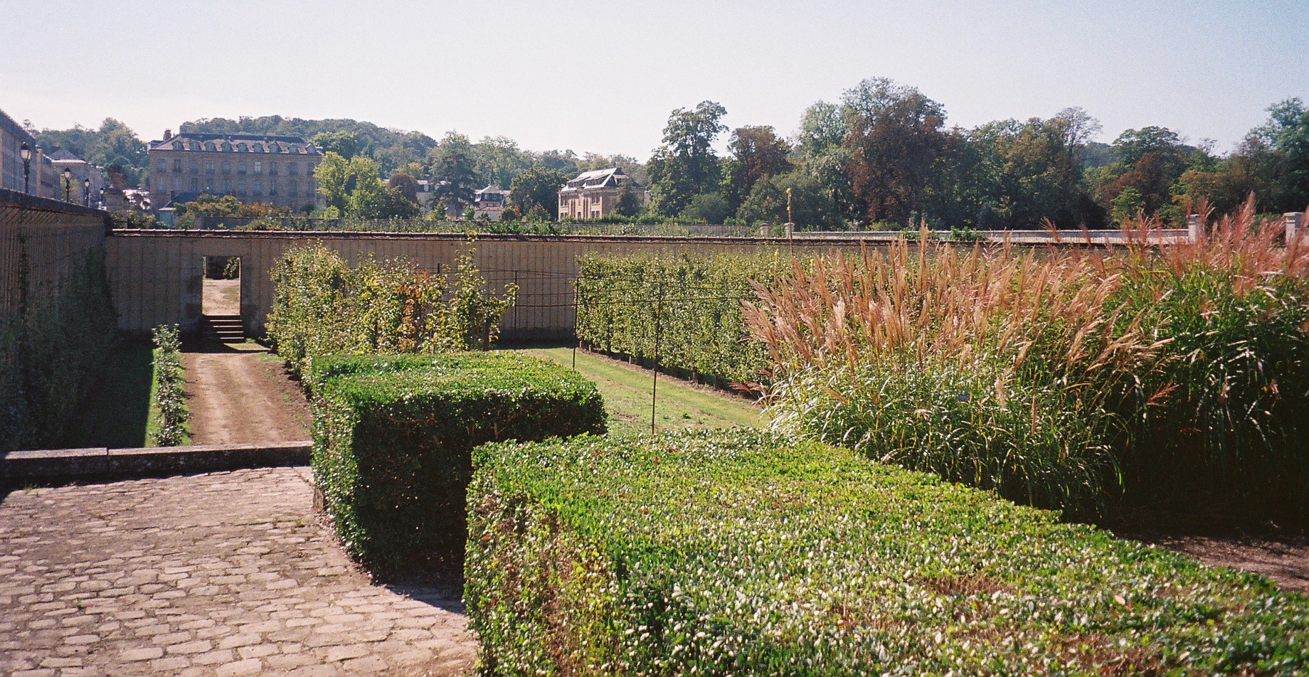 versailles-potager-du-roi-inside-2010