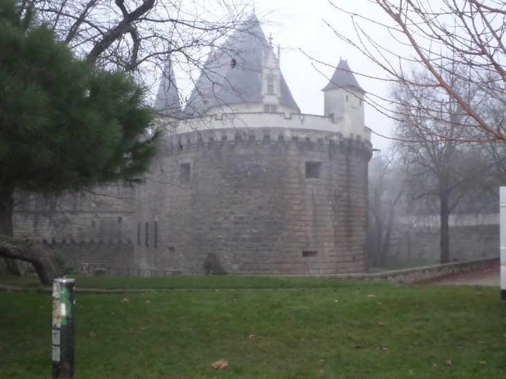 SAMSUNG CAMERA PICTURES