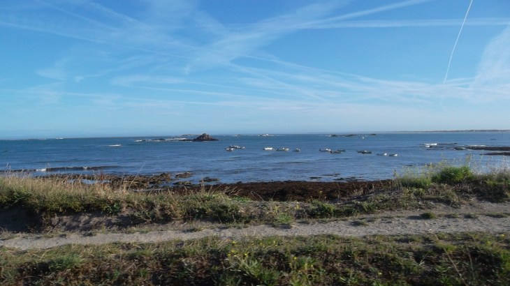 Quiberon cote sauvage start aug12