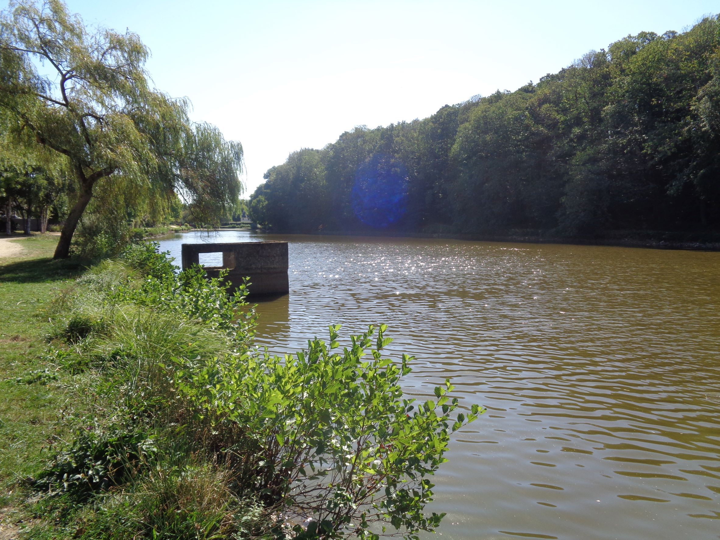 Tréfflean etang du Delan near D116 aug22