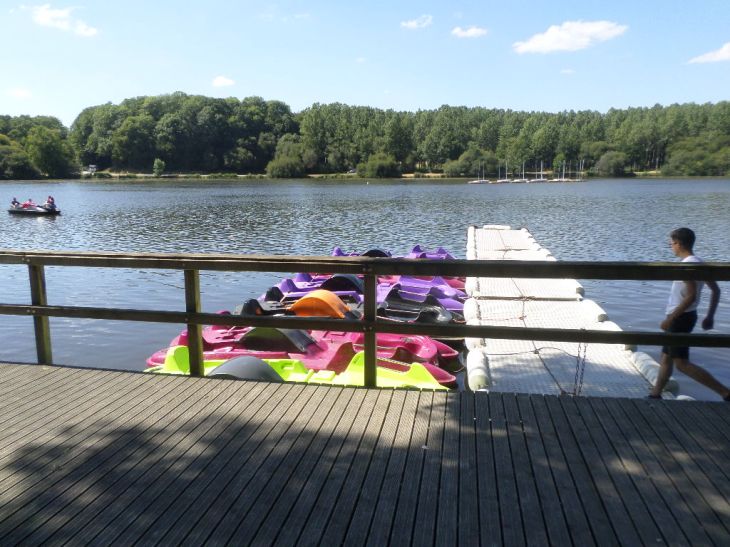 SAMSUNG CAMERA PICTURES