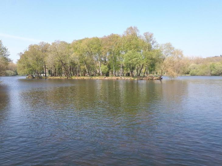 brandivy-etang-de-la-foret-island-apr21