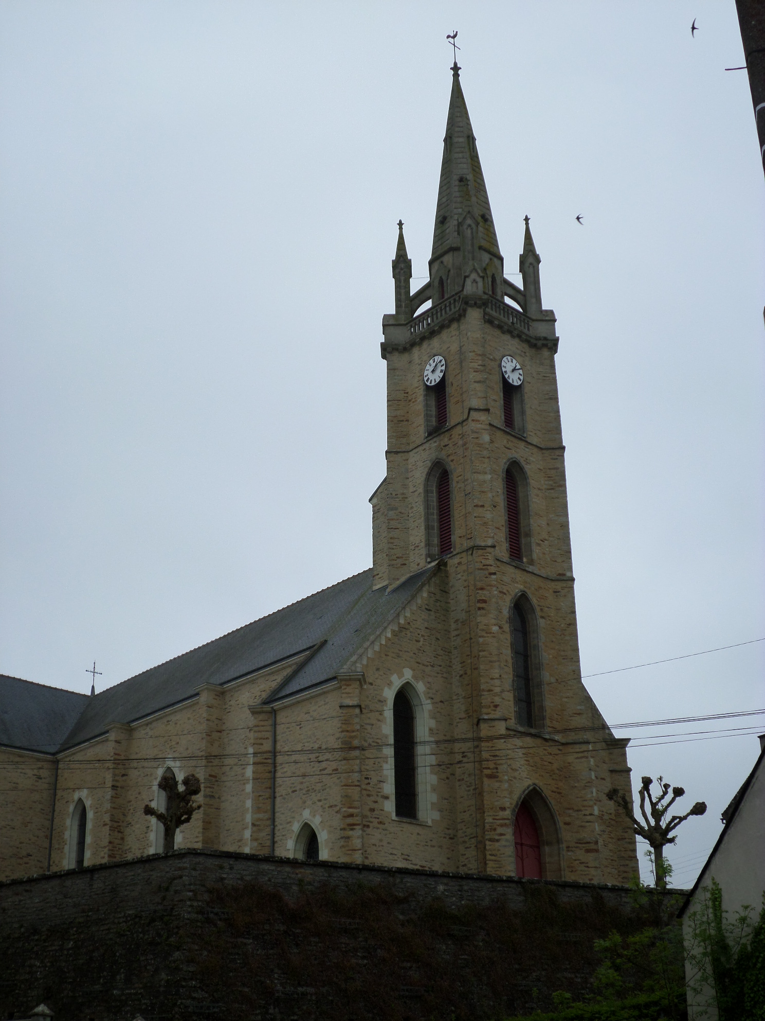 SAMSUNG CAMERA PICTURES