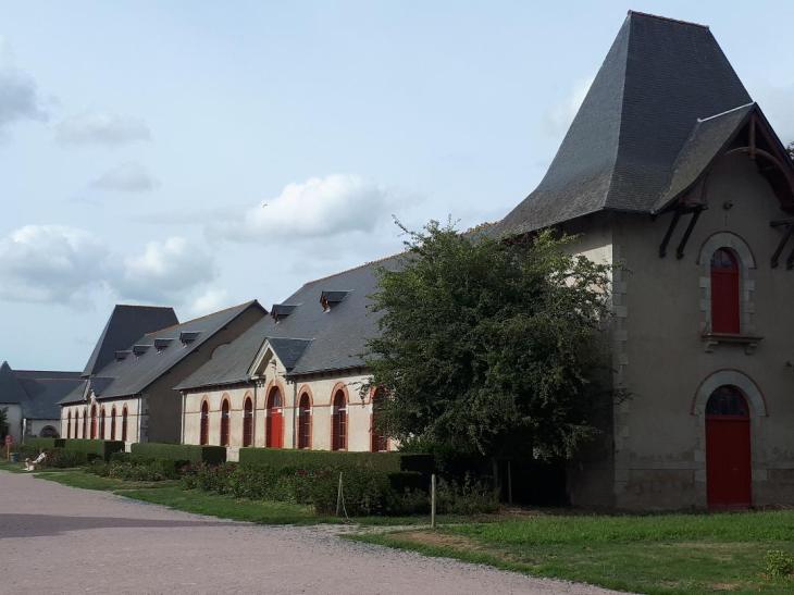 Lamballe haras national right bdlg sep22