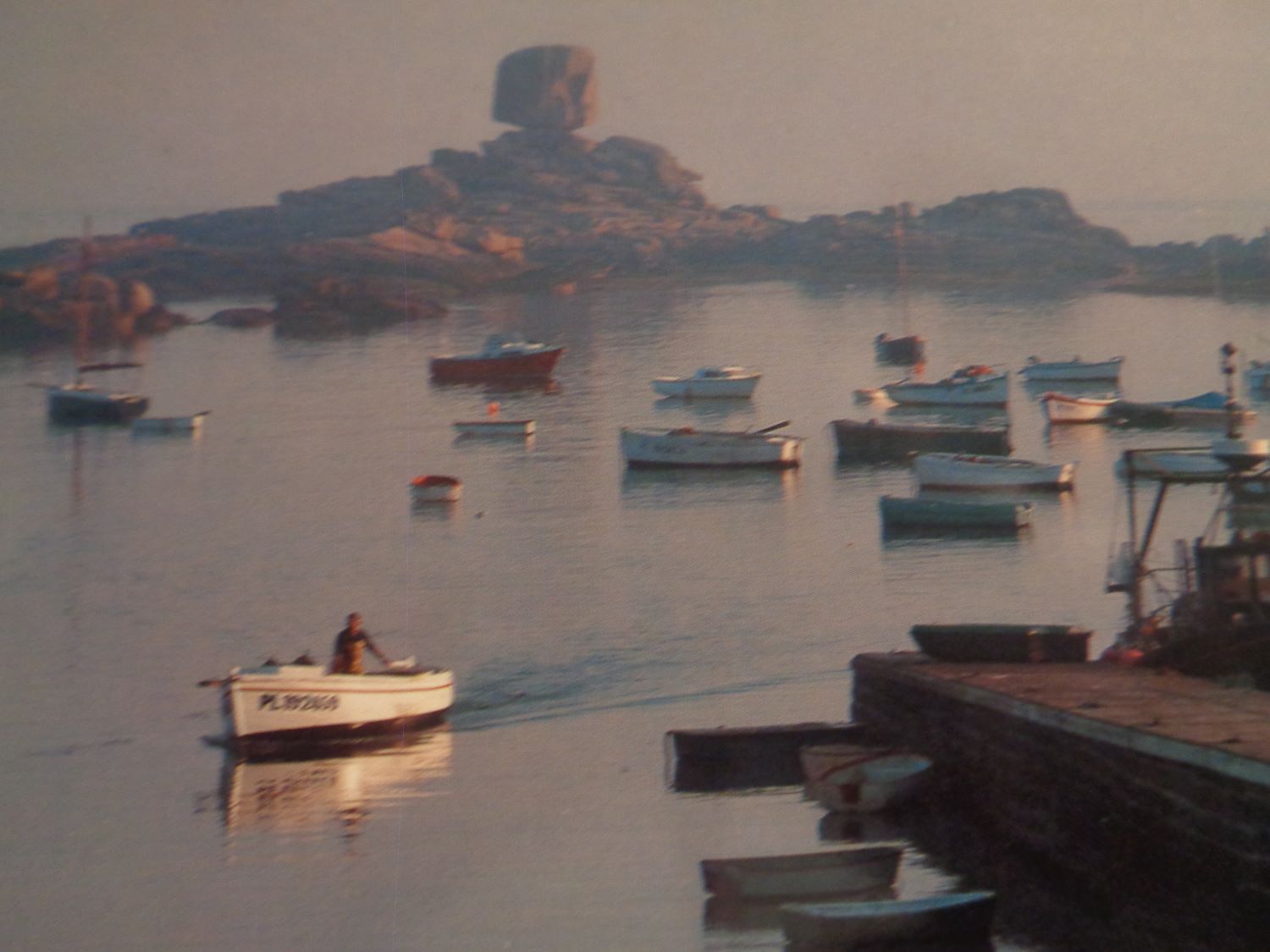 Tregastel port et rocher du Dé