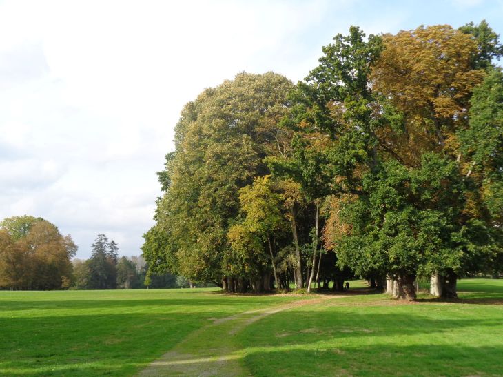 Combourg castle English garden tree trail left oct22