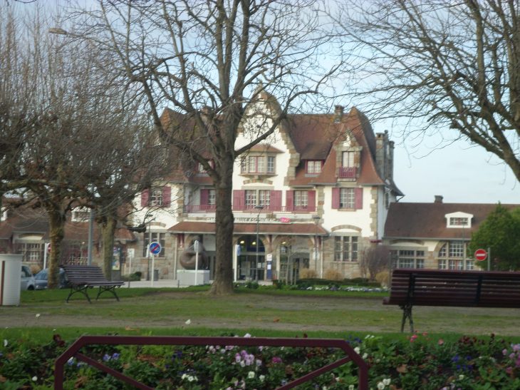 SAMSUNG CAMERA PICTURES