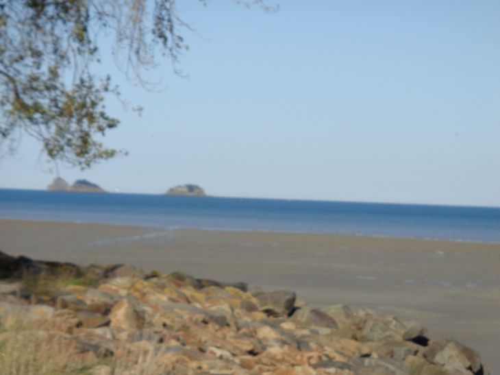 Saint Benoît des Ondes islands Rimains, Mouettes et Rocher de cancale oct22