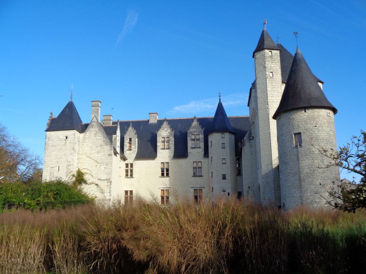 Lémeré chateau du Rivau back from garden nov22