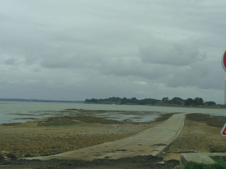 St Armel ile Tascon chemin low tide nov22