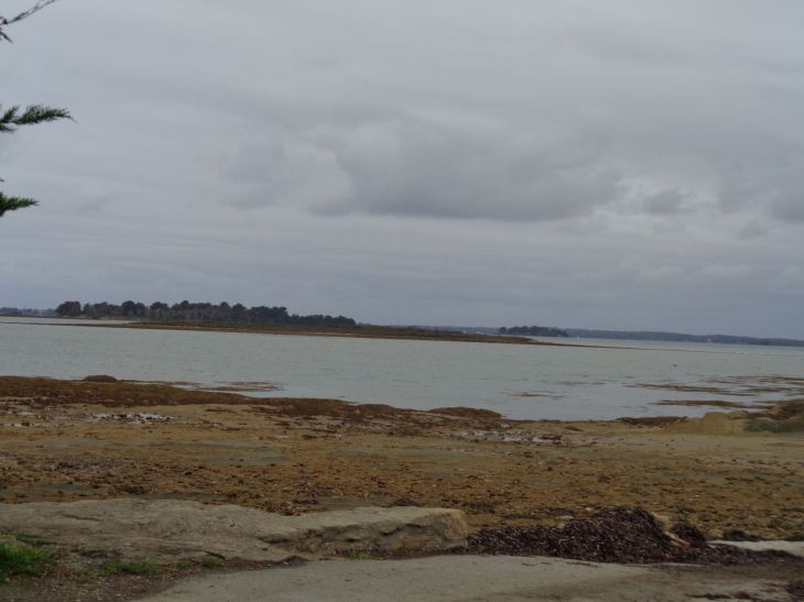 St Armel ile Tascon ile on bay nov22