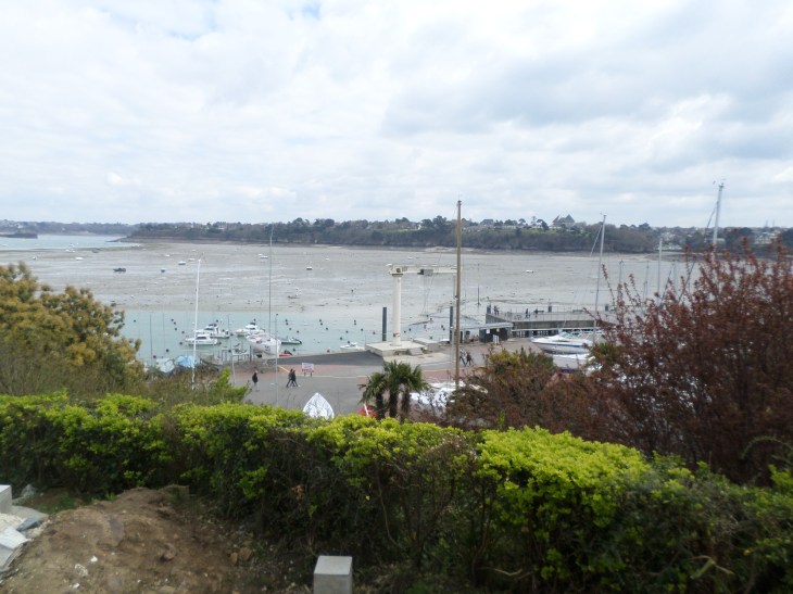 SAMSUNG CAMERA PICTURES