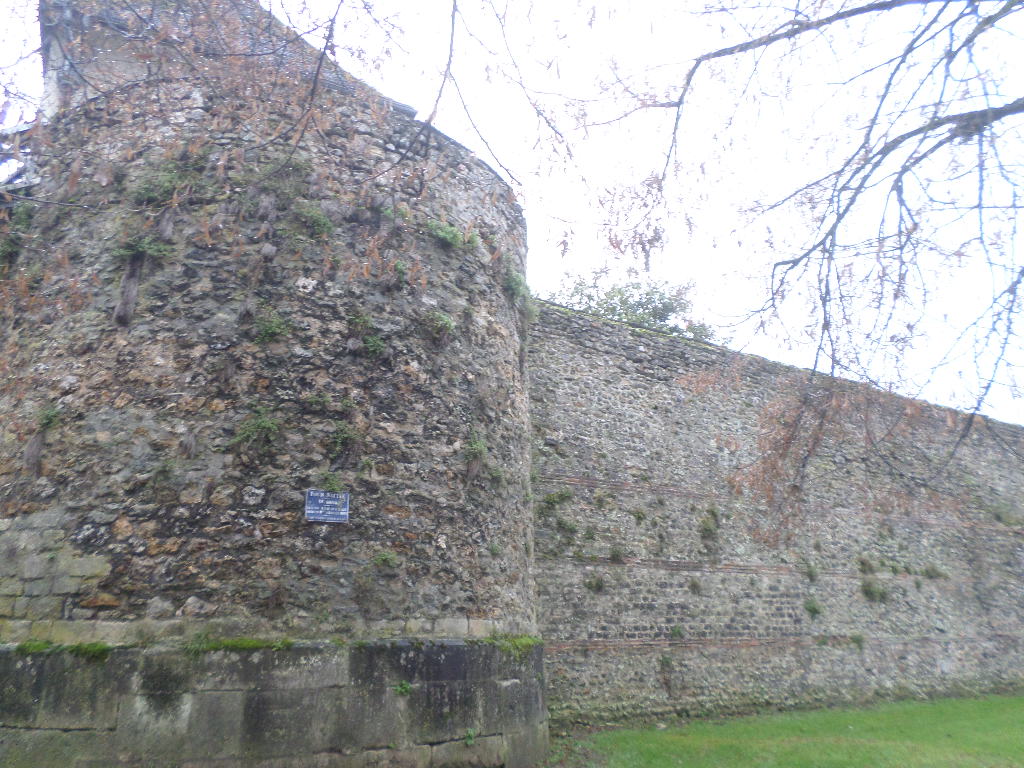 SAMSUNG CAMERA PICTURES