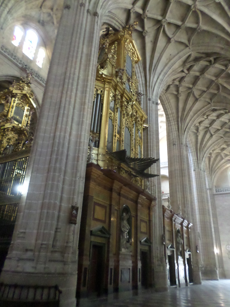 SAMSUNG CAMERA PICTURES