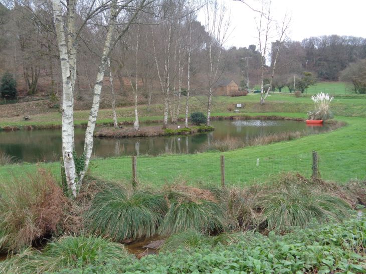 Billio pond garden behind Ch Notre Dame jan23