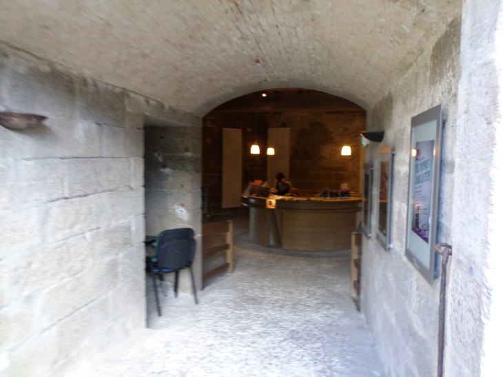 SAMSUNG CAMERA PICTURES