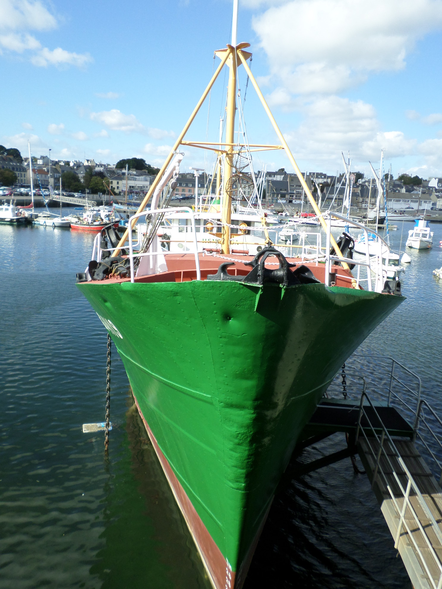 SAMSUNG CAMERA PICTURES