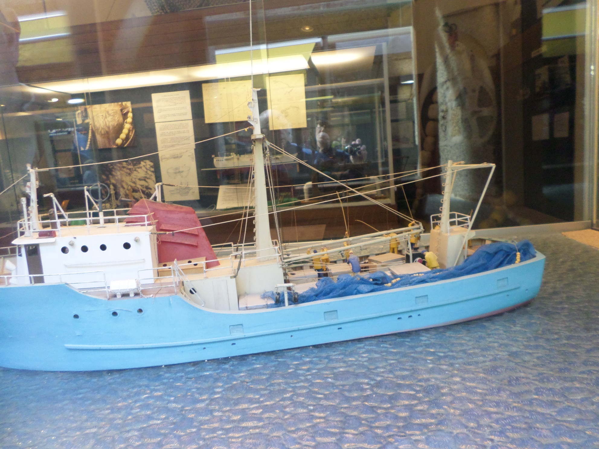 SAMSUNG CAMERA PICTURES