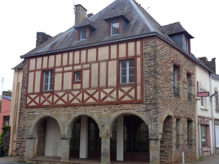 Guer maison en bois near Ch St Gurval jan23