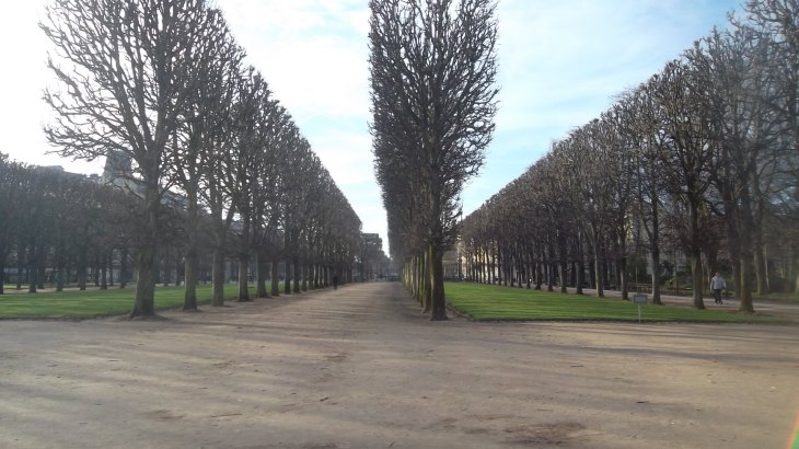 paris-jar-lux-trees-to-observatoire-feb14