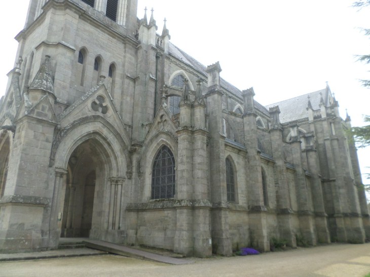 SAMSUNG CAMERA PICTURES