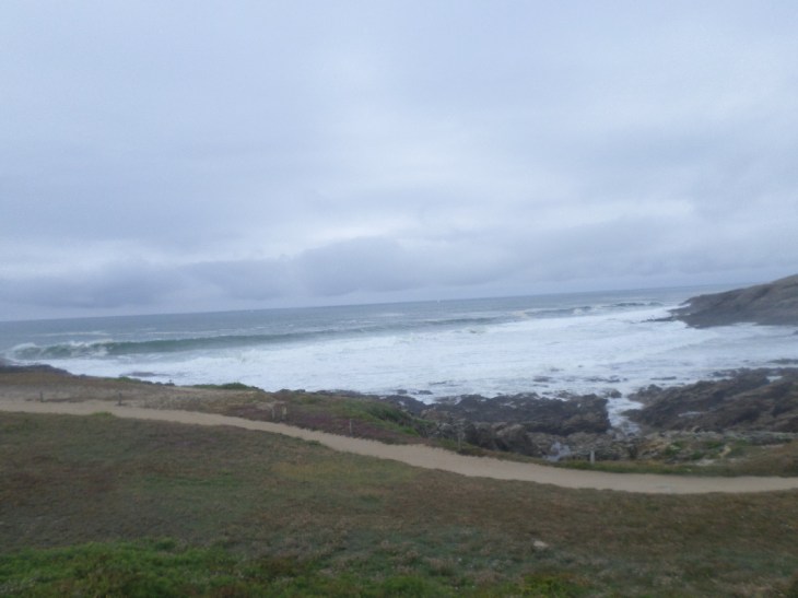 SAMSUNG CAMERA PICTURES