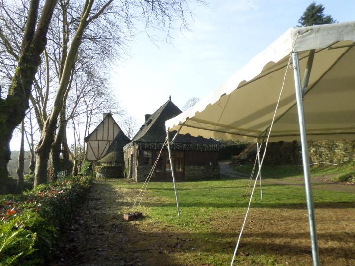 SAMSUNG CAMERA PICTURES