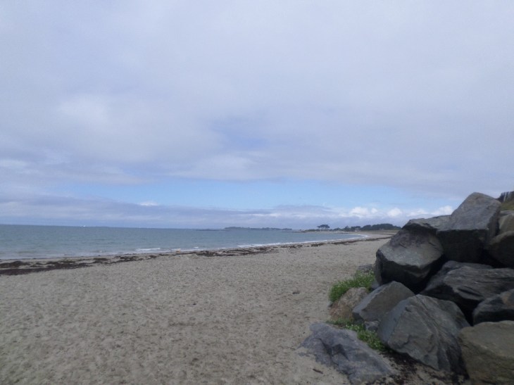 SAMSUNG CAMERA PICTURES