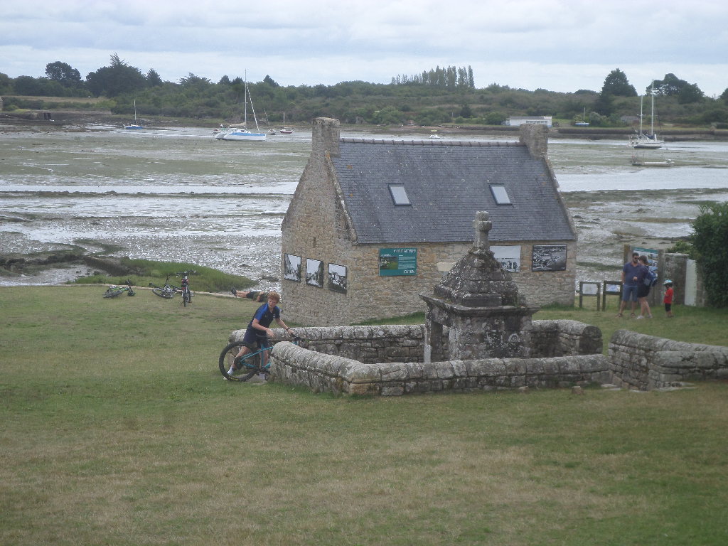 SAMSUNG CAMERA PICTURES