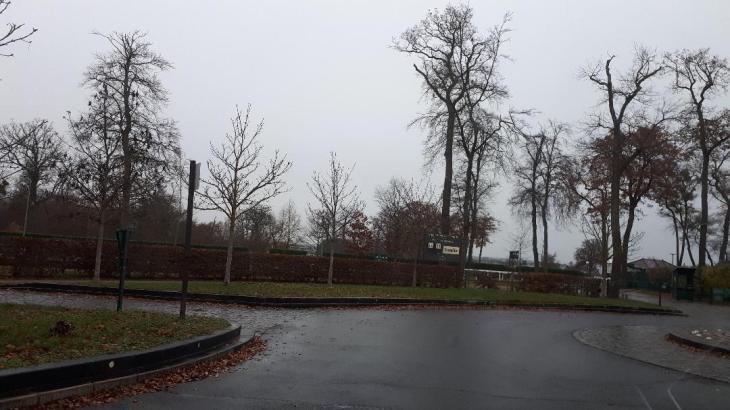 chantilly hippo arriving nov19