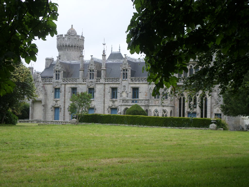 SAMSUNG CAMERA PICTURES