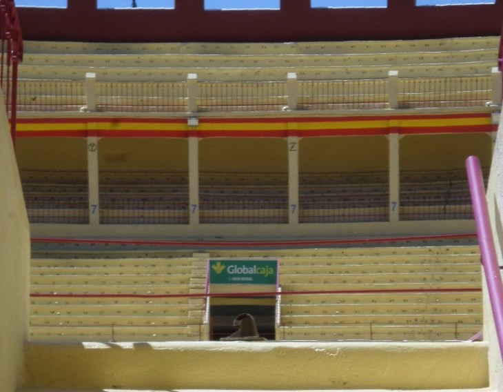 cuenca-plaza-de-toros-tendillo-3-inside-aug17