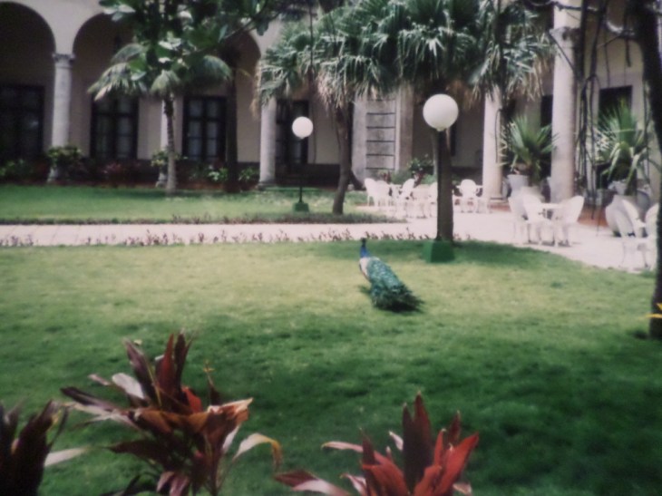 SAMSUNG CAMERA PICTURES