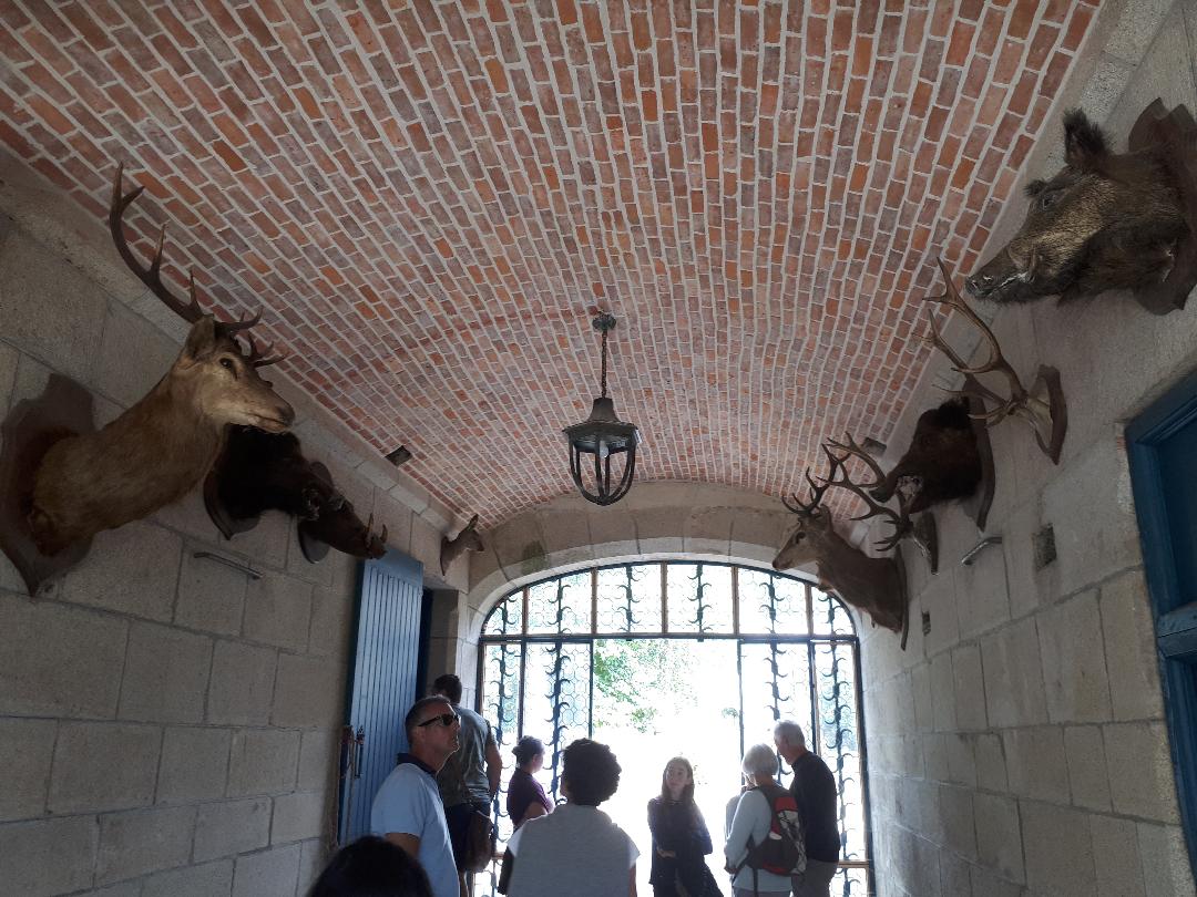 keriolet kitchen out to hunting hall to jardins aug19