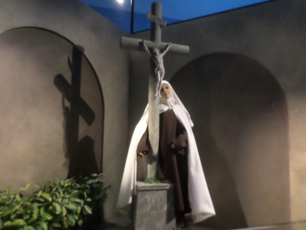 SAMSUNG CAMERA PICTURES