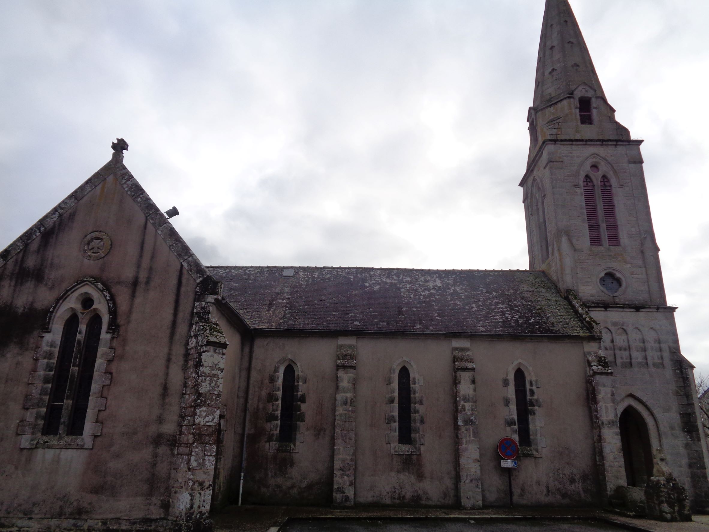 Locmaria Grand Champ ch Sainte Marie side left jan23