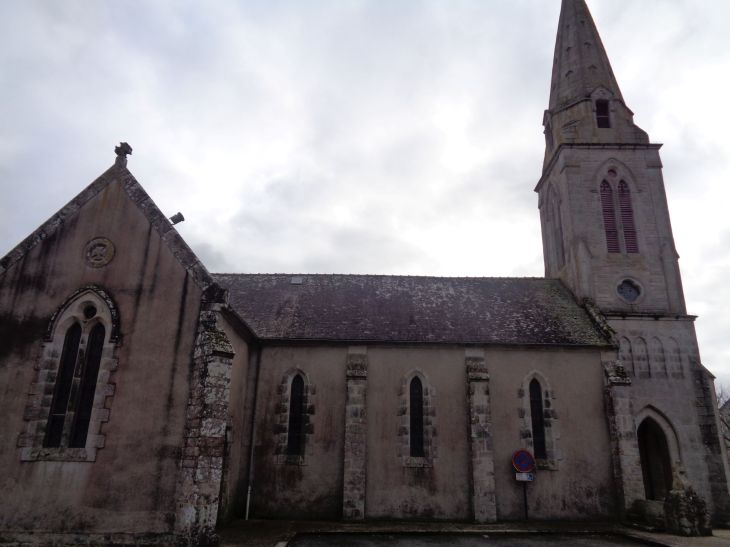 Locmaria Grand Champ ch Sainte Marie side left jan23