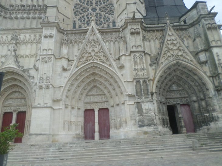 SAMSUNG CAMERA PICTURES