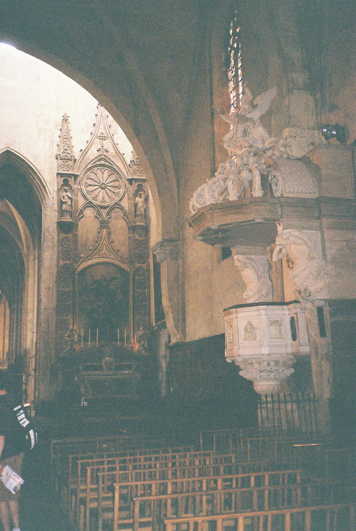 Toulouse cat st etienne pulpit jul10
