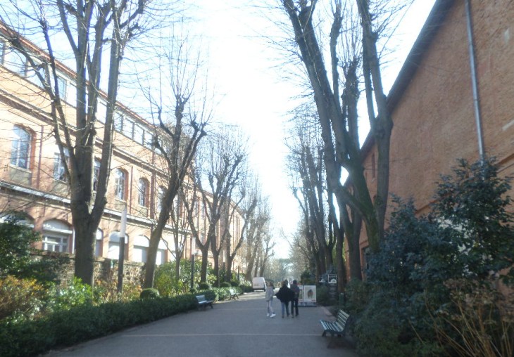 toulouse-jardin-des-plantes-allee-ent-jan20