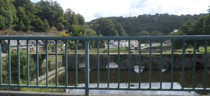 chat-de-faou-canal-brest-nantes-aug19