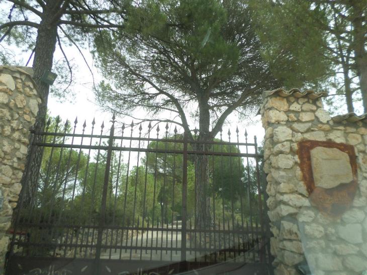 SAMSUNG CAMERA PICTURES