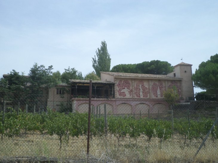 SAMSUNG CAMERA PICTURES