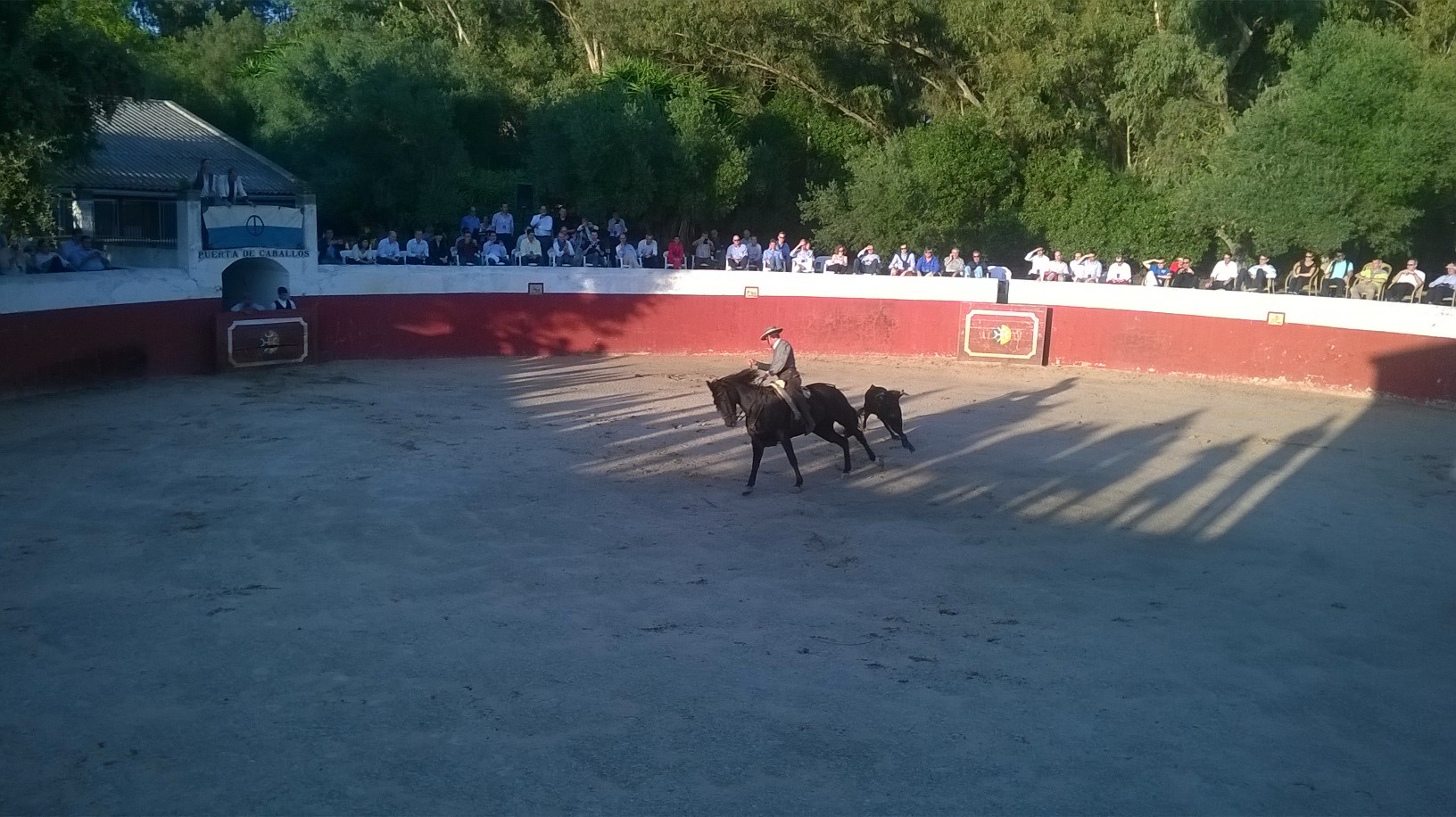 jerez domecq horse show in arena by alvaro oct15