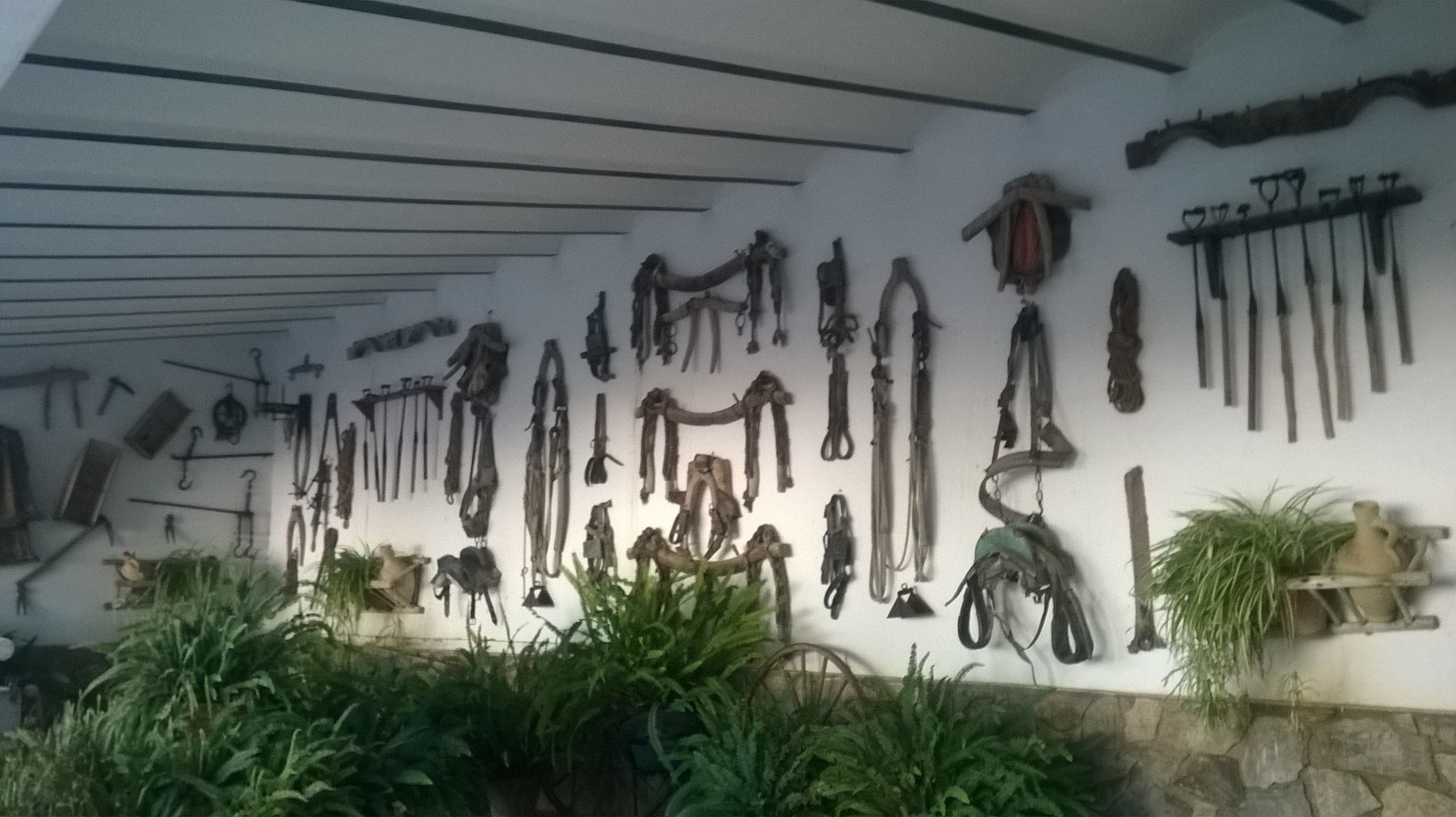 jerez domecq horseshoes oct15