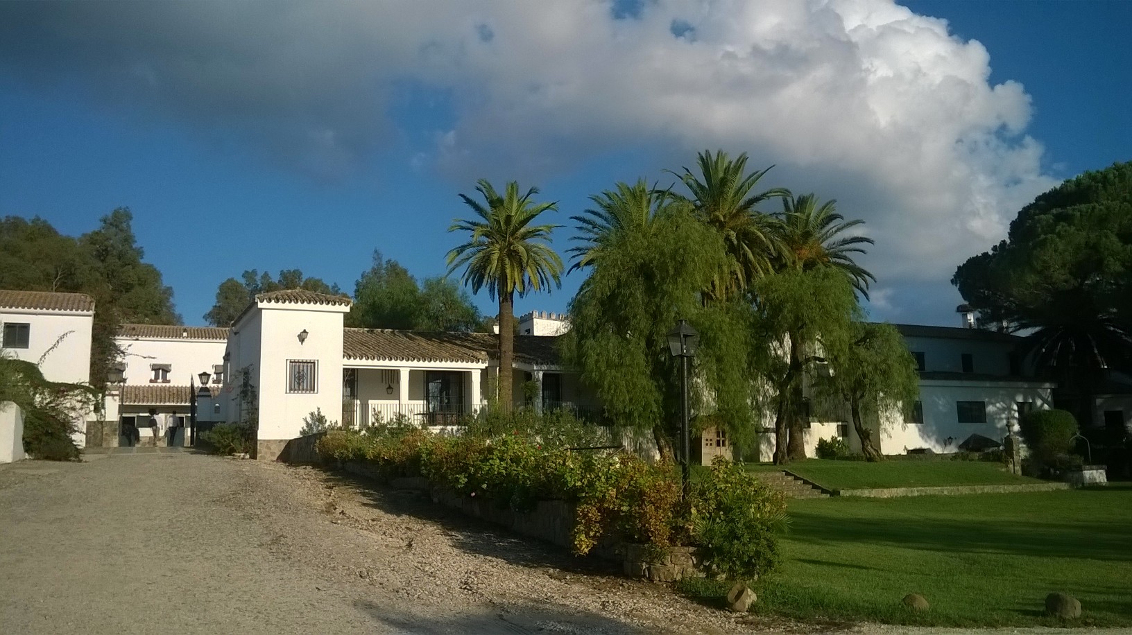 jerez domecq house back patio oct15