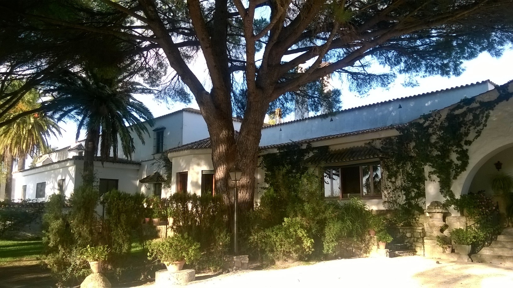 jerez domecq house back patio side oct15