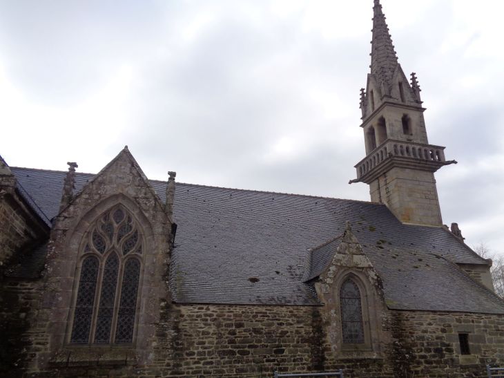 Kergloff Ch Saint Tremeur front kergloff Mar23