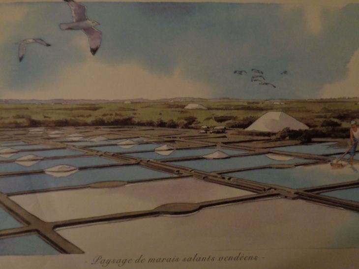 Marée salant Vendéens